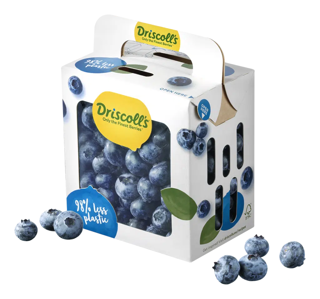 Driscollss blueberries packshot top fruit 1